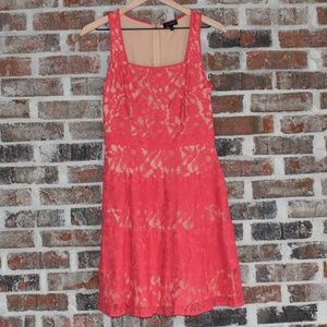 The Limited Coral Lace Dress